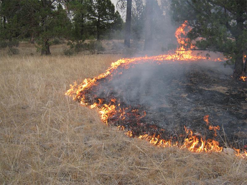 Metro warns about outofcontrol grass fires Kempton Express
